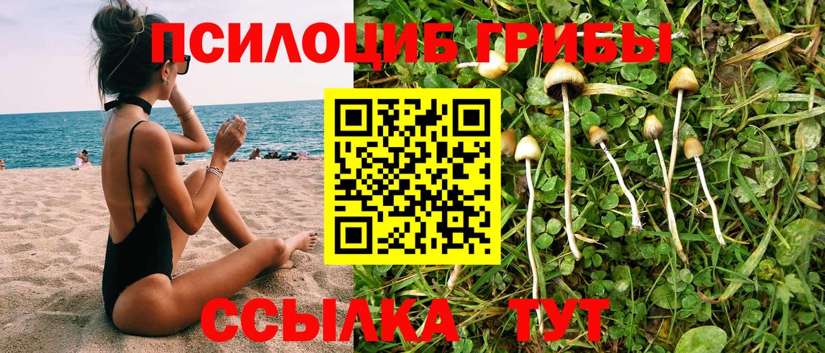 Мелеуз  Псилоцибиновые грибы GOLDEN TEACHER  Галлюциногенные грибы Psilocybe  Вход с VPN 